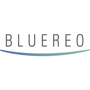 Bluereo Inc.
